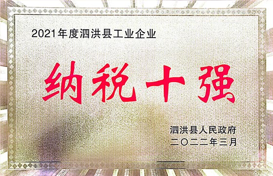 纳税十强